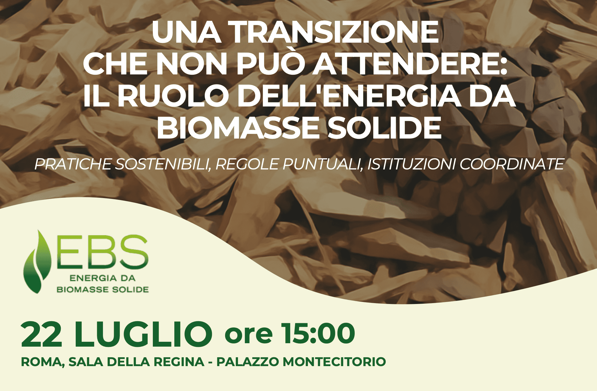 Una transizione che non può attendere: il ruolo dell'energia da biomasse solide